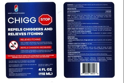 Chigg Stop 2022 (Chigg Stop 2022)
